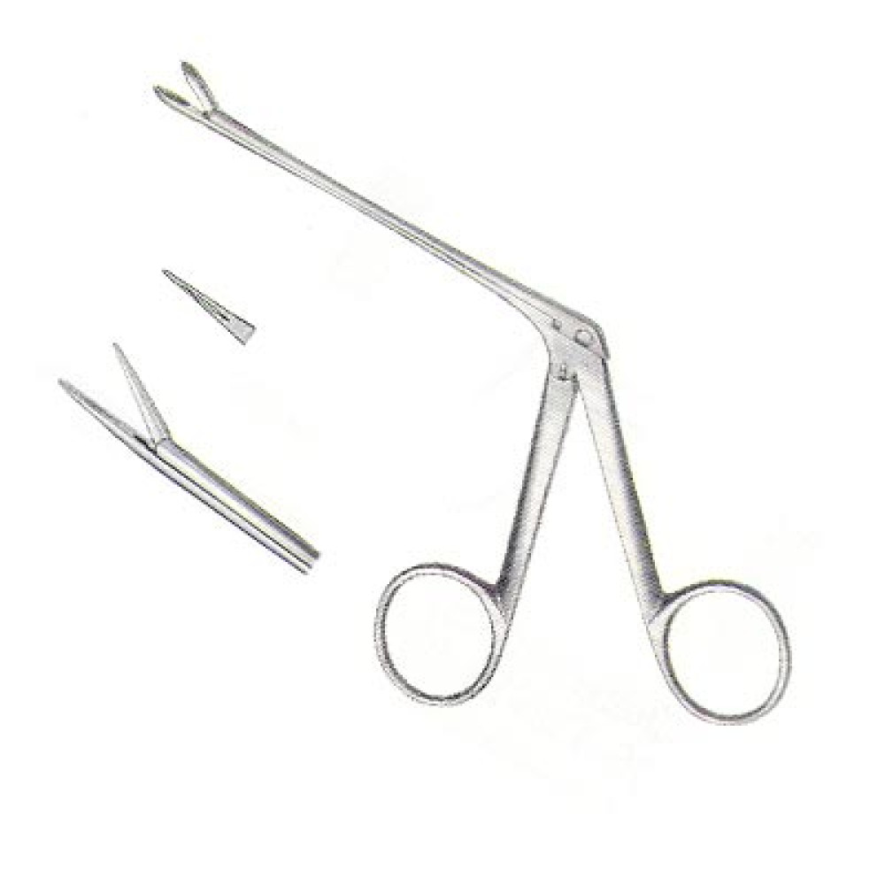 Ear Instrument