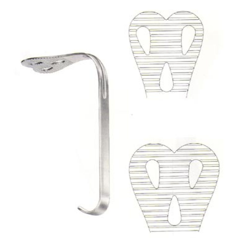 Oral Instrument