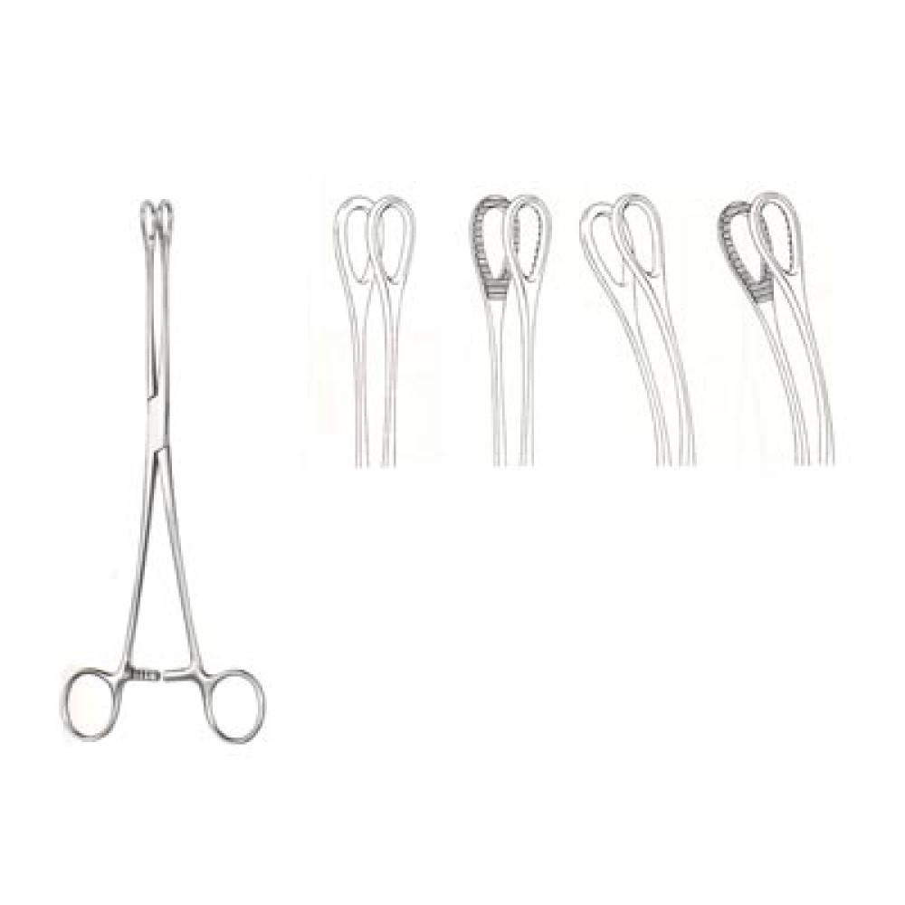 Oral Instrument
