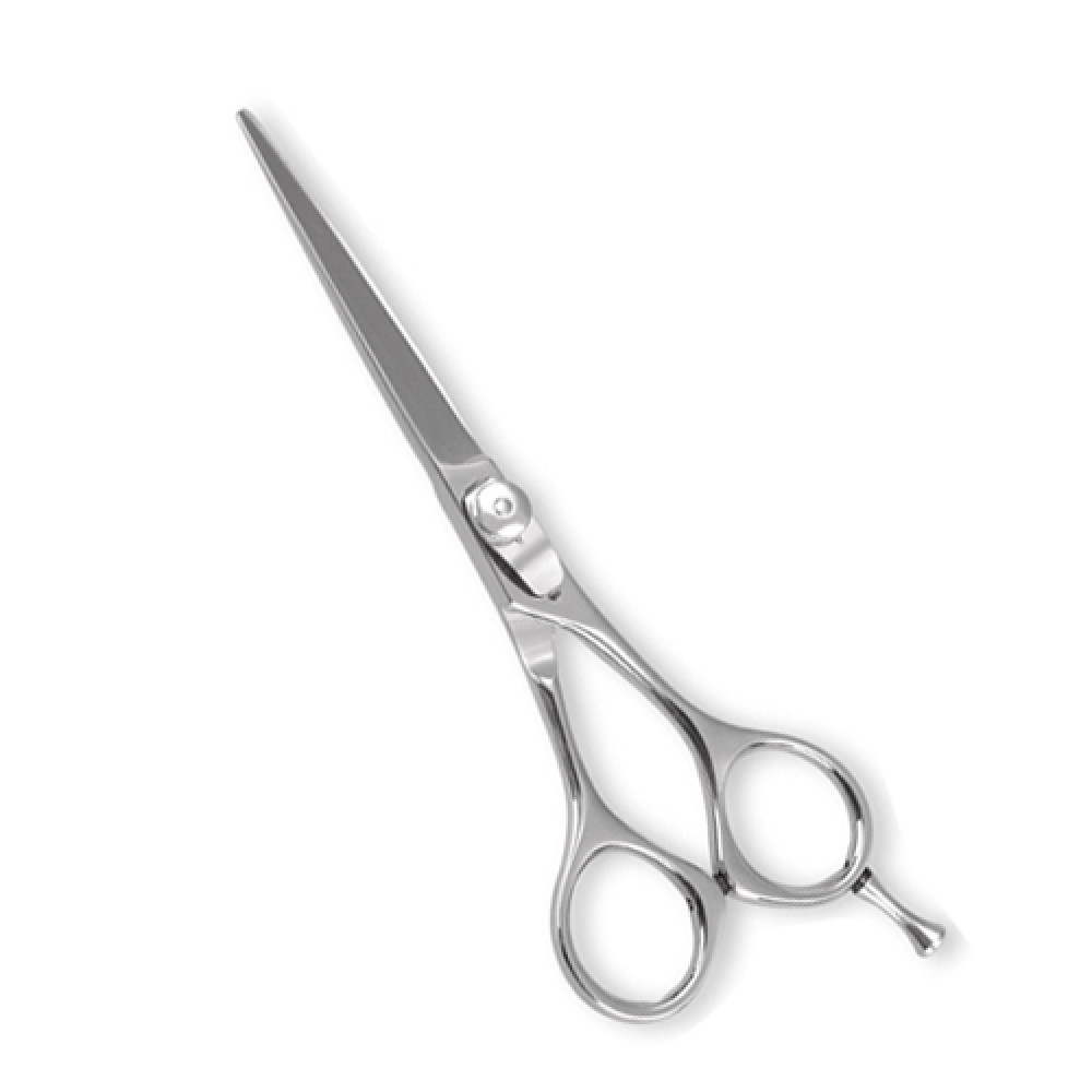 Professional Barber Scissor