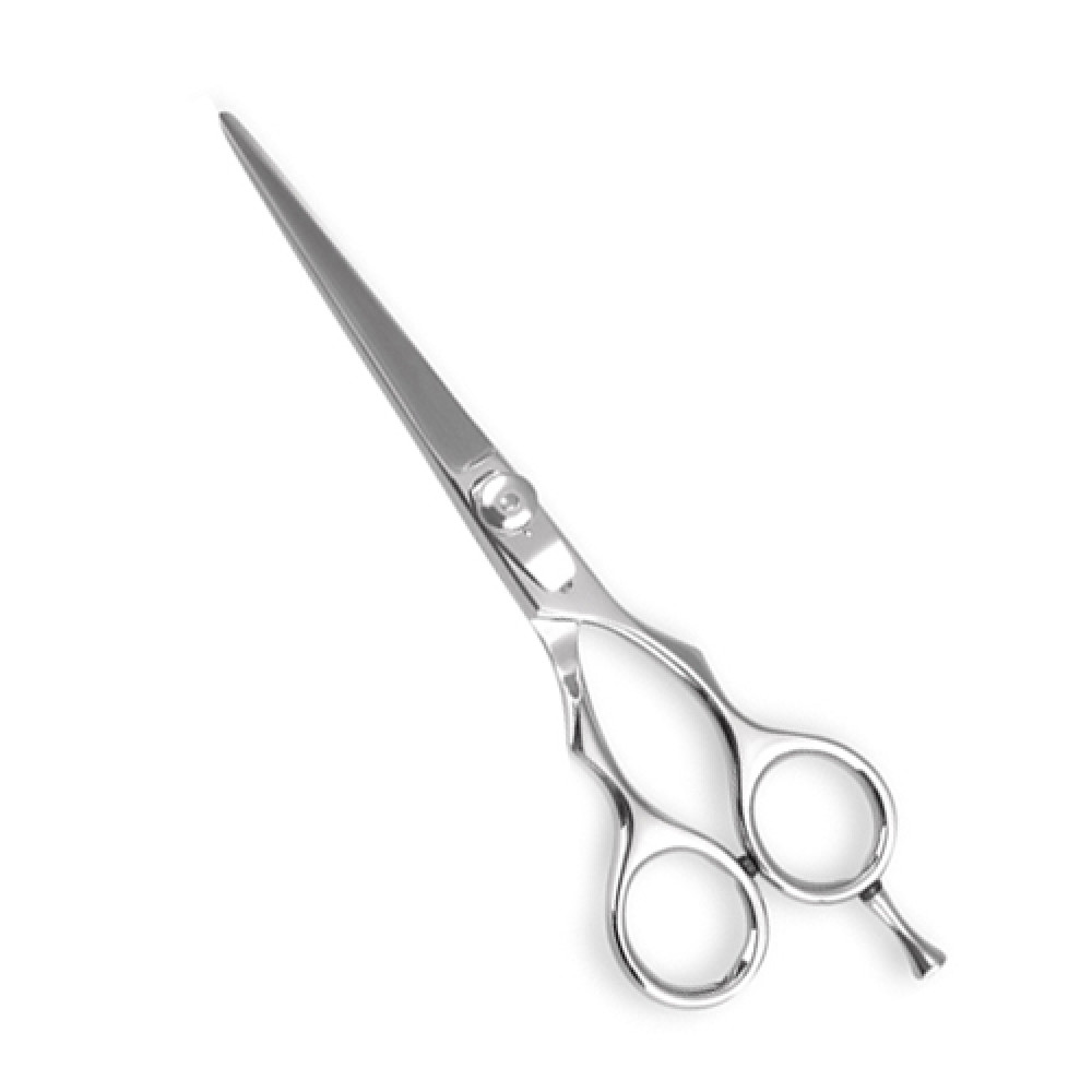 Professional Barber Scissor