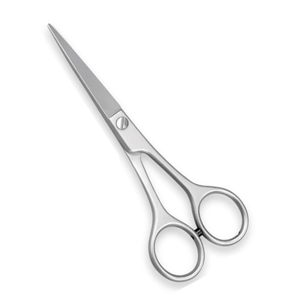Professional Barber Scissor