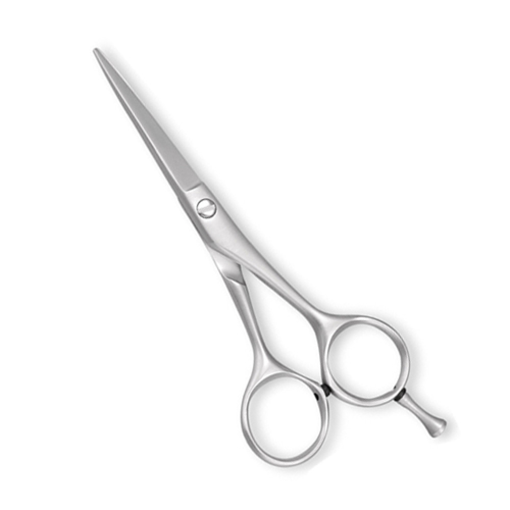 Professional Barber Scissor