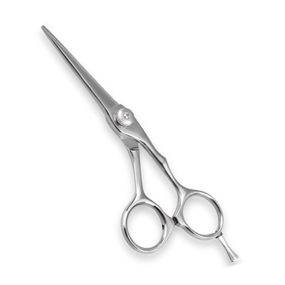 Professional Barber Scissor