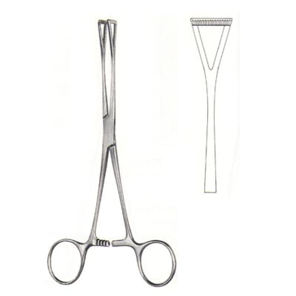 Thoracic & Cardiovascular Instrument