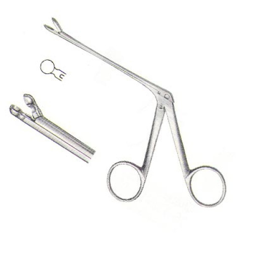 Ear Instrument
