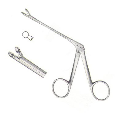 Ear Instrument