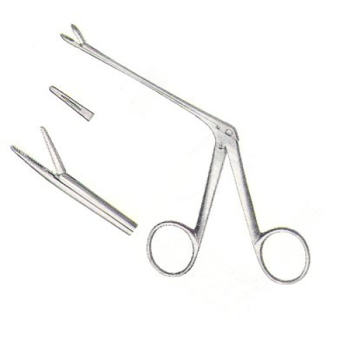 Ear Instrument