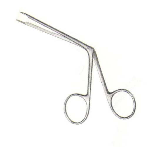 Ear Instrument