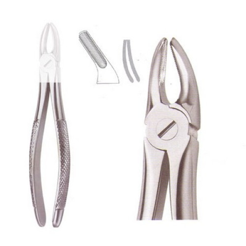 Extracting Forcep