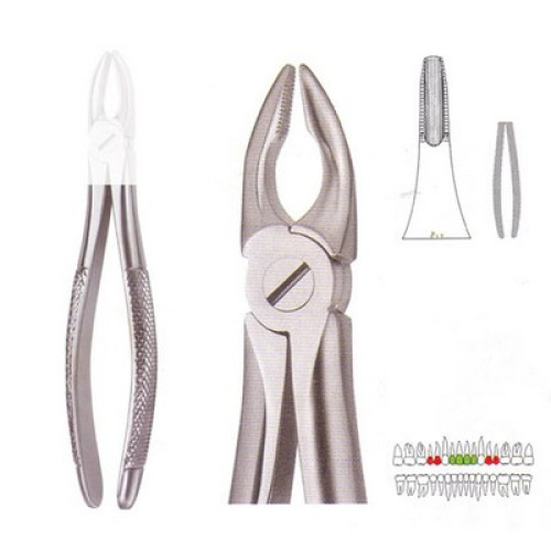 Extracting Forcep
