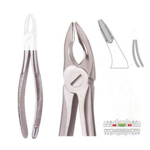Extracting Forcep