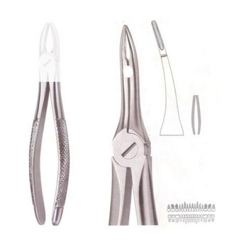 Extracting Forcep