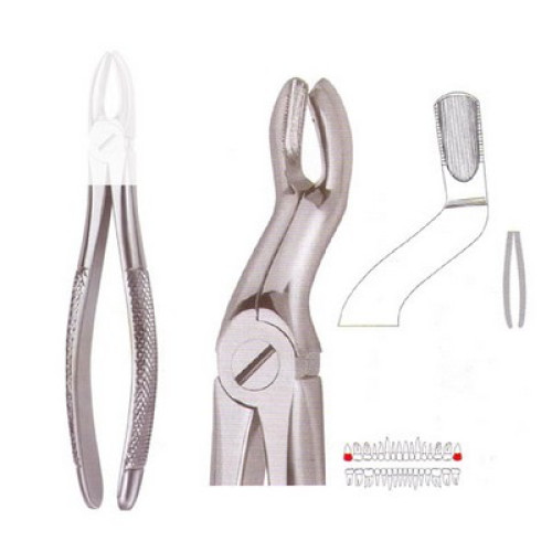 Extracting Forcep