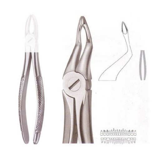 Extracting Forcep