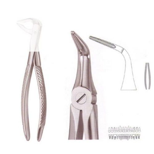 Extracting Forcep