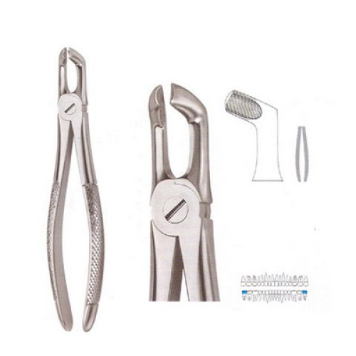 Extracting Forcep