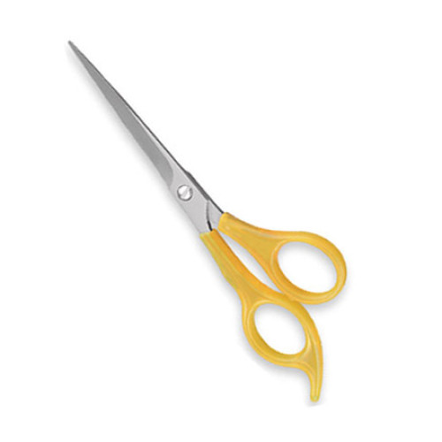Multipurpose Household Scissor