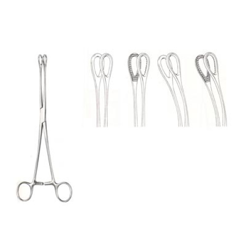 Oral Instrument