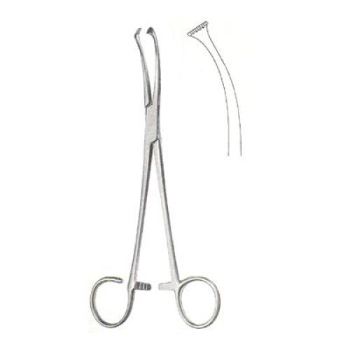 Oral Instrument
