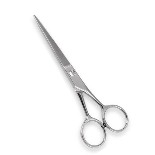 Professional Barber Scissor
