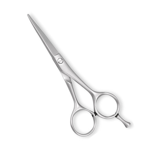 Professional Barber Scissor