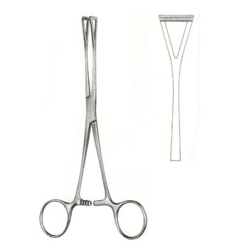 Thoracic & Cardiovascular Instrument